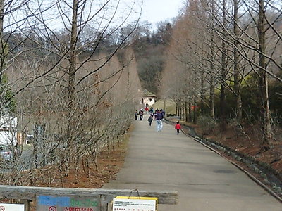 あけぼの子どもの森公園へと続く道